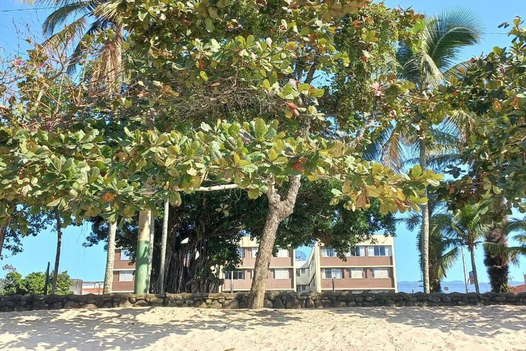 Apartamento Com Vista Pro Mar No Centro De - 2 Quartos E Cozinha Completa Ubatuba